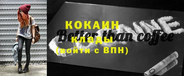 индика Лабытнанги